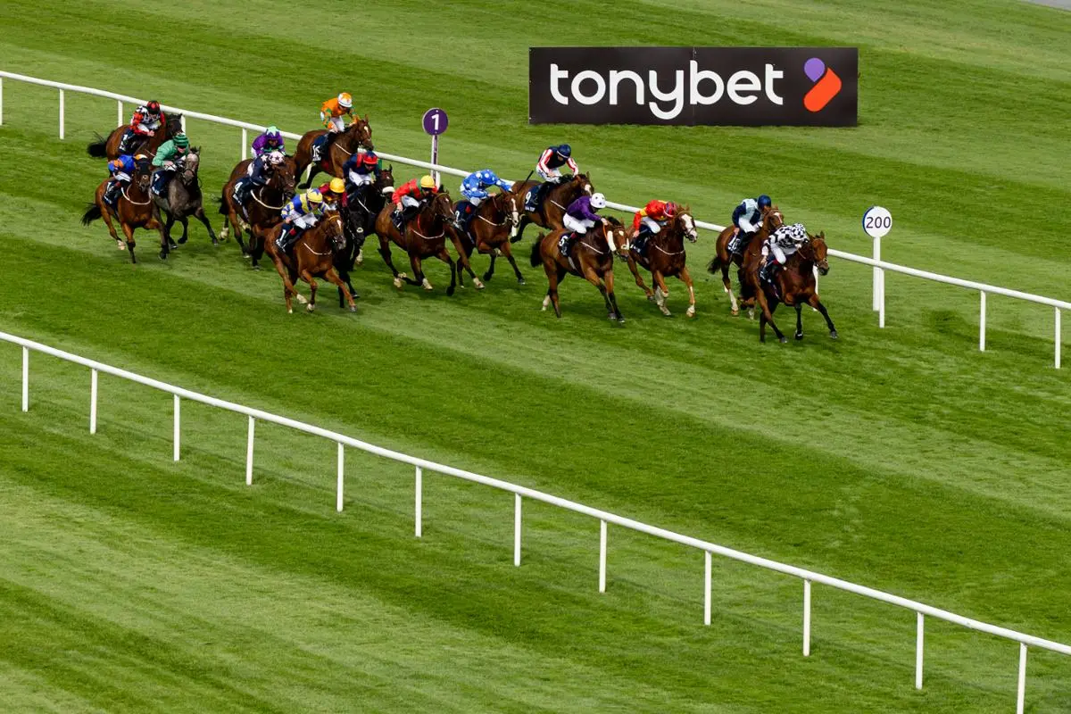 Tonybet Leopardstown